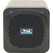 Anchor Audio MINI Pro System 1 Portable PA with Wired and Wireless Mics