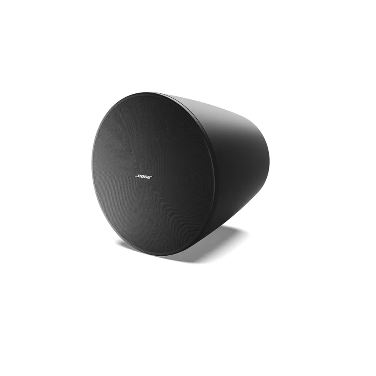 Bose Professional DesignMax DM10P-SUB Pendant Subwoofer