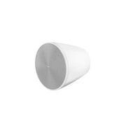 Bose Professional DesignMax DM10P-SUB Pendant Subwoofer