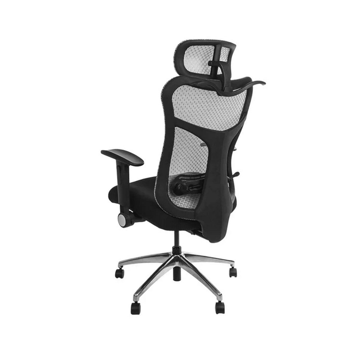 Wavebone Viking Multifunctional Studio Chair