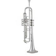 Bach 170S43GY Professional Bb Trumpet