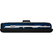 Roland AE-BRISA Aerophone Brisa Digital Wind Instrument