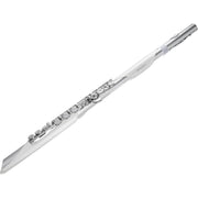 Roland AE-BRISA Aerophone Brisa Digital Wind Instrument