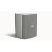 Bose Professional DesignMax DM12SE 12-Inch Surface-Mount Loudspeaker