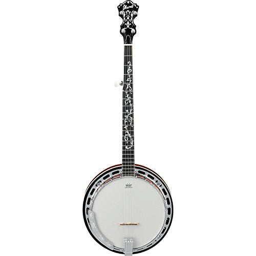 Ibanez B200 5-String Banjo