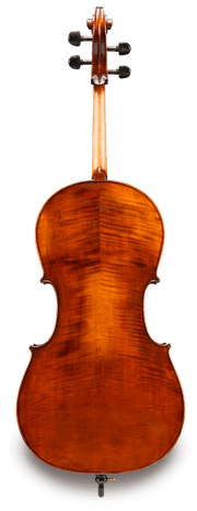 Eastman VC305 4/4 Performance Cello