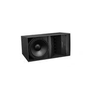 Bose Professional ArenaMatch DeltaQ Outdoor Array Loudspeaker (Each)