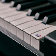 Korg E1 Air Digital Piano