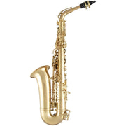 Selmer SAS511 Advanced Eb Alto Saxophone