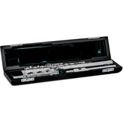Azumi AZ2SRBEO flute