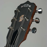 Deering Boston 6 String Acoustic Electric Banjo