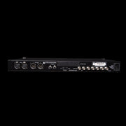Apogee Big Ben Master Word Clock Unit (C1014257)
