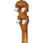 Epiphone Mastertone Classic Banjo - Natural