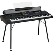 Korg PAAS MK2 Speaker System for PA5X