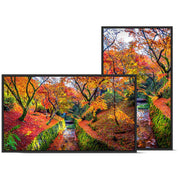 Sharp PN-E329 32-Inch Full HD Commercial Display
