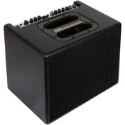 AER Compact 60/4 Compact Acoustic Guitar Combo Amp