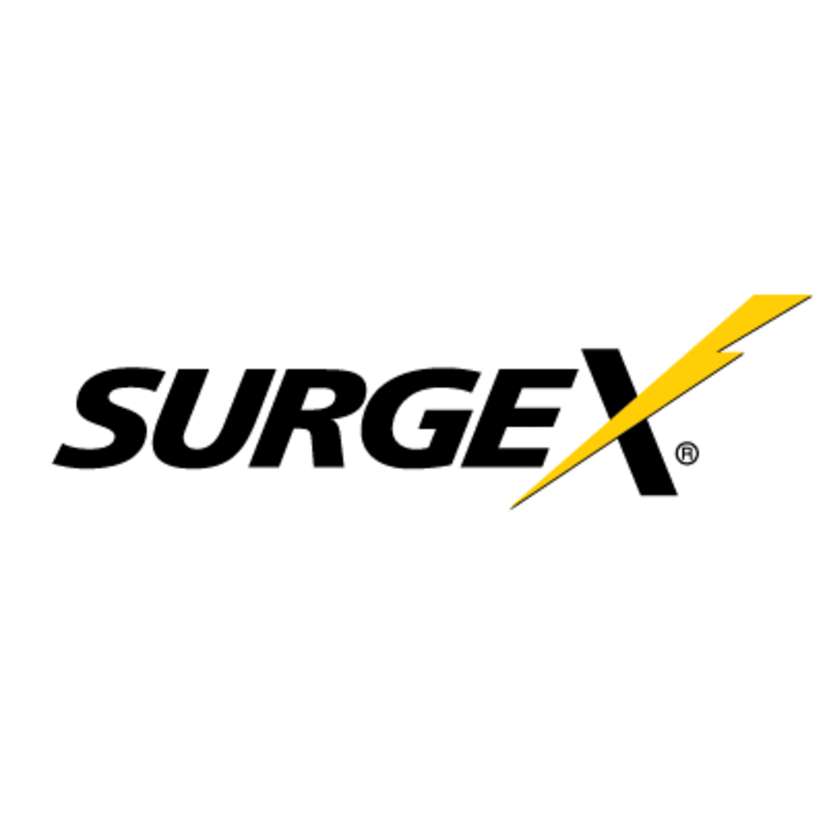 SurgeX 1440VA Line Interactive UPS with Isolation Transformer 2U