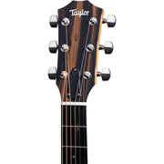 Taylor 210ce Plus Full Gloss Dreadnought Acoustic Electric Guitar, Torrefied Spruce